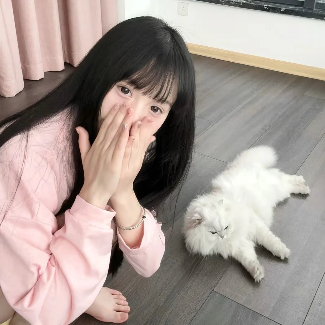 五郎八卦棍粤语